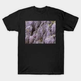 Wisteria Cascades T-Shirt